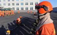 雷速体育比分直播-关于上海队员迎接格外困境，期待全力应对创新的信息