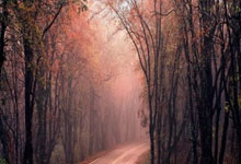 雷速体育电脑版官网-法国紧随德国，轻松晋级半决赛的简单介绍